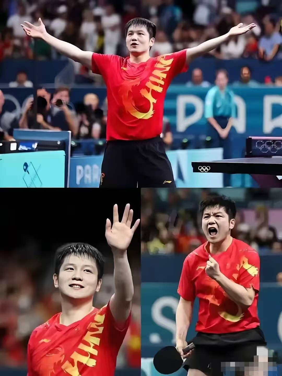 比利时乒乓球队完胜法国乒乓球队，樊振东送出助攻的简单介绍