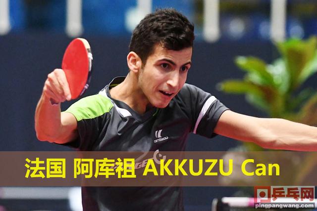 关于德国乒乓球队血洗奥地利乒乓球队，水谷隼送出助攻的信息
