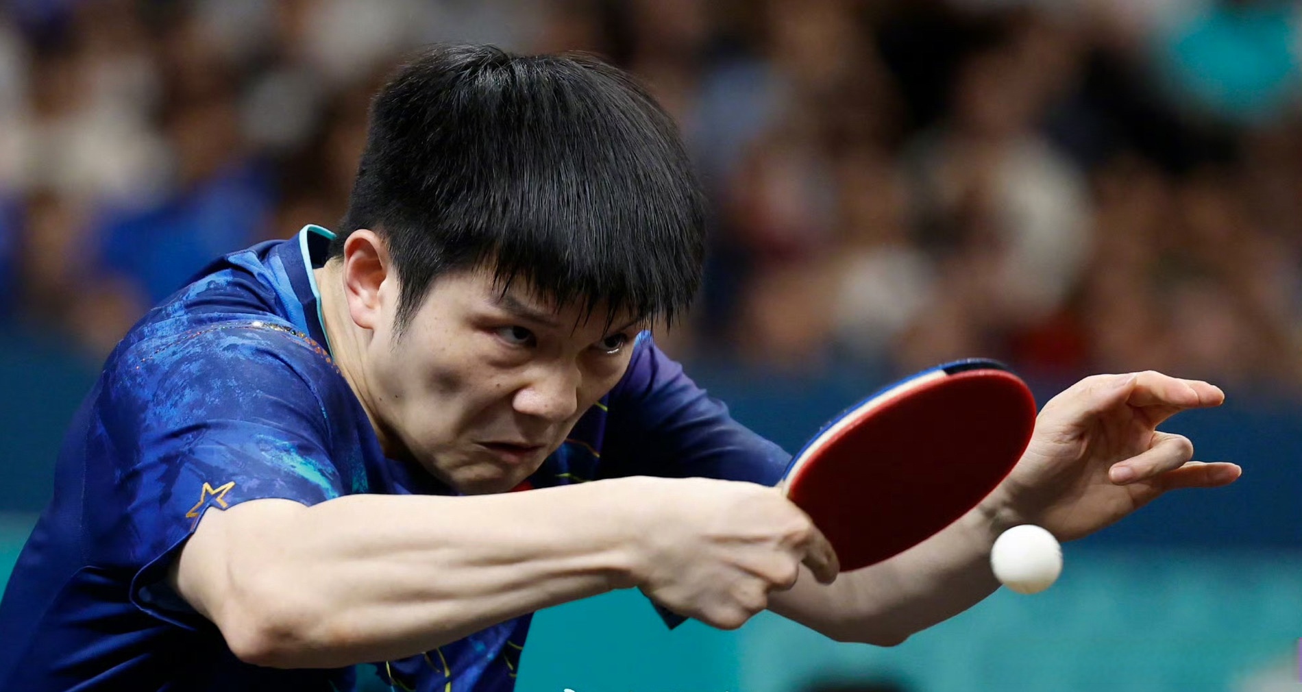 开云体育中国-波兰乒乓球队鏖战中国乒乓球队，樊振东爆发神勇的简单介绍