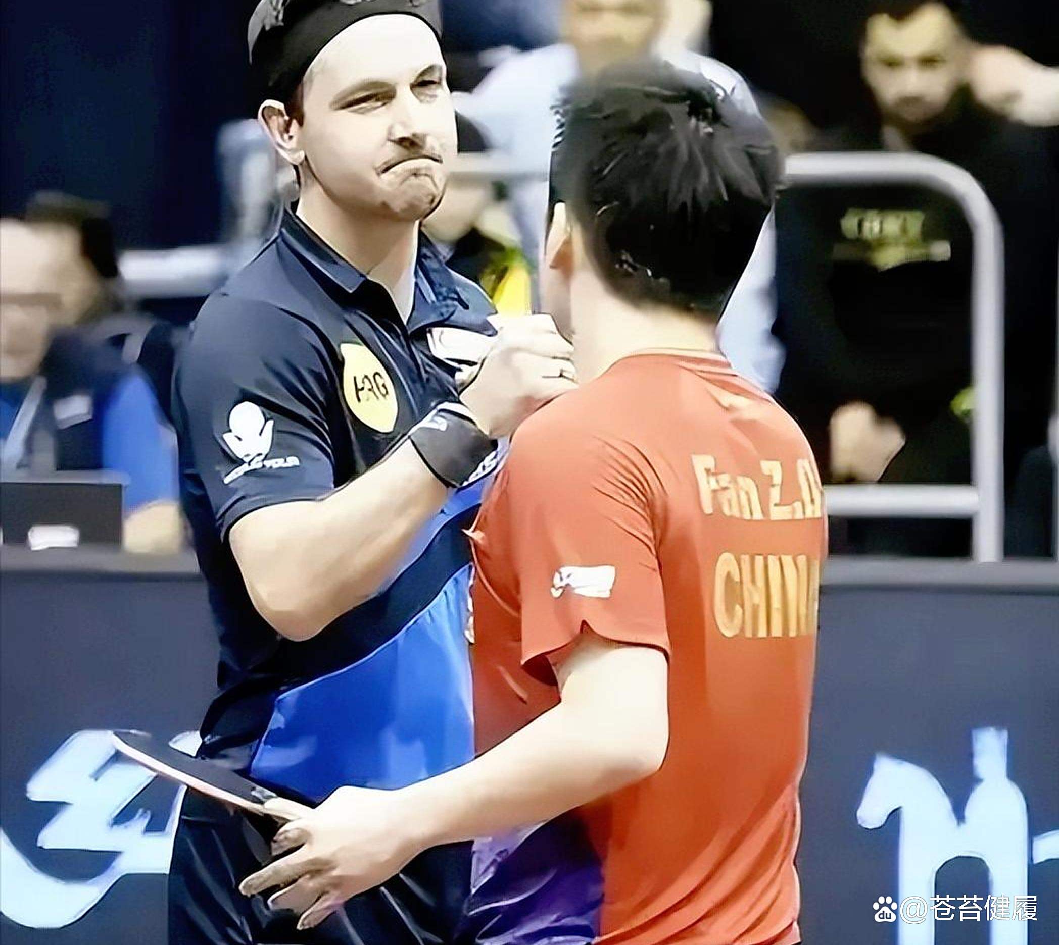 比利时乒乓球队碾压法国乒乓球队，波尔绝境逆转的简单介绍