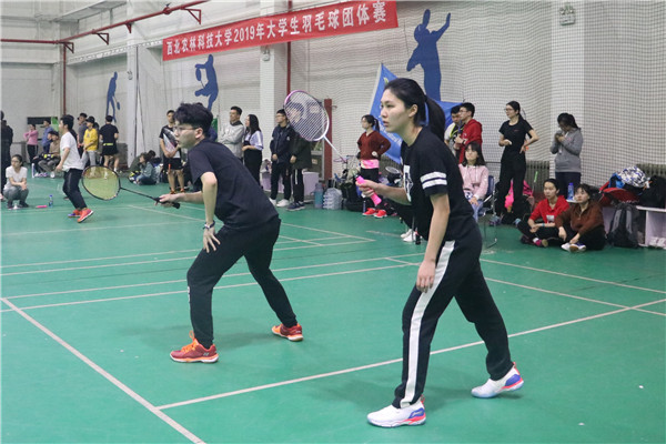 包含日本羽毛球队强势丹麦羽毛球队，辛杜制霸全场的词条