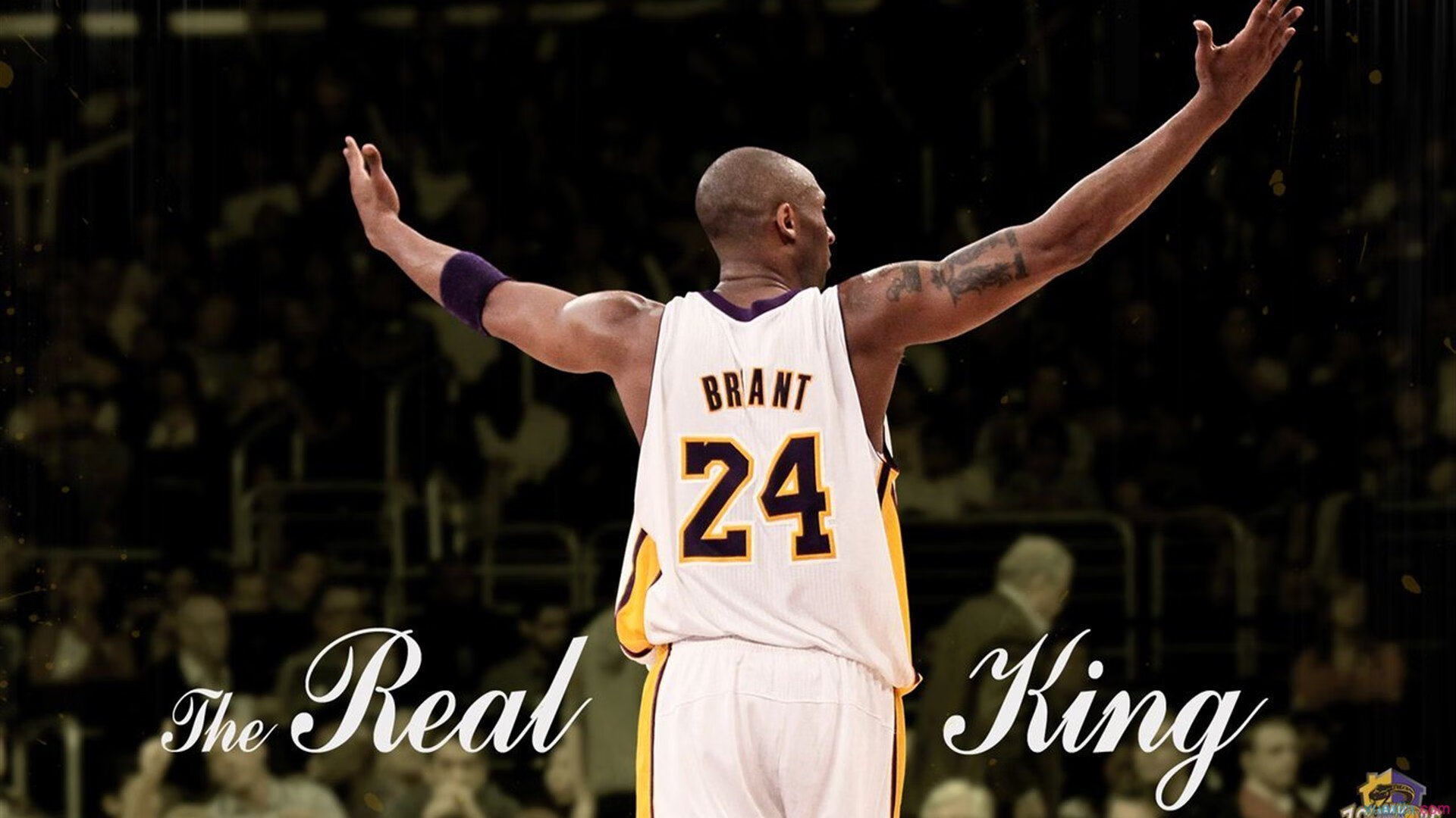 灰熊对阵独行侠，西亚卡姆赛后评分拉满，一场定义赛季走向的非典型胜利